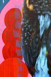 Image 7 of Kingfisher (Straight and Low)