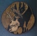 Image of Spiorad an Dúlra. Wood burning.