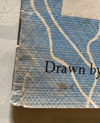 Image 5 of Pond Life Puffin Picture Book