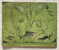 Image 7 of Pond Life Puffin Picture Book