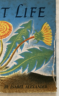 Image 2 of The story of Plant life