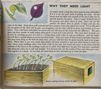 Image 4 of The story of Plant life