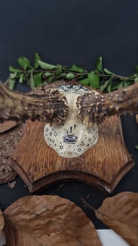 Image 3 of Deer Skull - "Starry Night" hand painted - OOAK