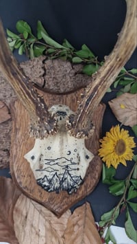 Image 4 of Deer Skull - "Starry Night" hand painted - OOAK
