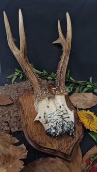 Image 1 of Deer Skull - "Starry Night" hand painted - OOAK