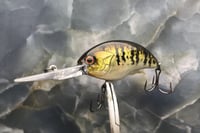 Image 1 of SPEEDBAITS Custom Airbrushed Blitzit Crankbait 8664