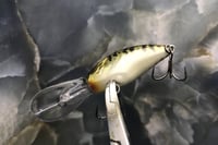 Image 4 of SPEEDBAITS Custom Airbrushed Blitzit Crankbait 8664