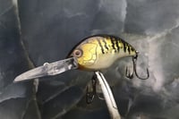 Image 3 of SPEEDBAITS Custom Airbrushed Blitzit Crankbait 8664