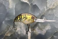 Image 2 of SPEEDBAITS Custom Airbrushed Blitzit Crankbait 8664