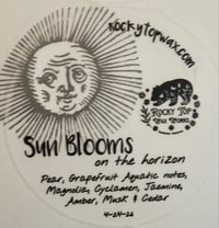 Sun Blooms on the Horizon 