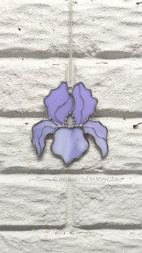 Image 2 of Iris - Neolavender 1