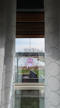 Image 3 of Iris - Neolavender 1