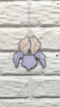 Image 2 of Iris - Champagne/Pink