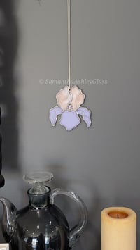 Image 1 of Iris - Champagne/Pink