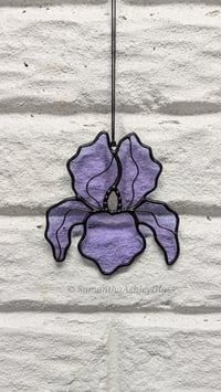 Image 2 of Iris - Iridescent Neolavender 