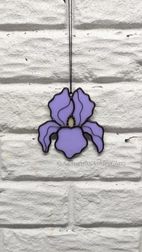 Image 2 of Iris - Neolavender 2