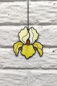 Image 3 of Iris - Yellow