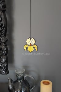 Image 1 of Iris - Yellow