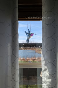 Image 3 of Hummingbird - Black