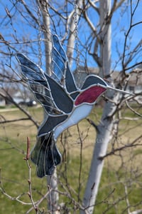 Image 4 of Hummingbird - Black