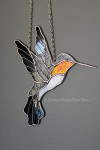 Image 5 of Hummingbird - Black