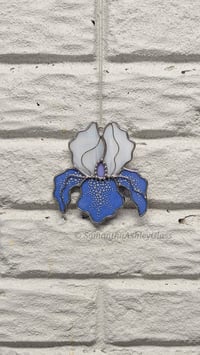 Image 2 of Iris - Blue with Painted Details 