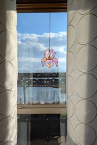 Image 2 of Iris - Monarch Pink and Copper