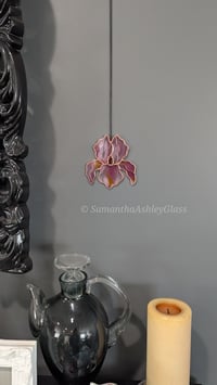 Image 1 of Iris - Monarch Pink and Copper