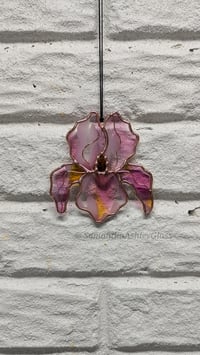 Image 3 of Iris - Monarch Pink and Copper