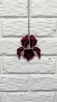 Image 2 of Iris - Fuschia and Copper