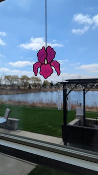 Image 4 of Iris - Fuschia and Copper