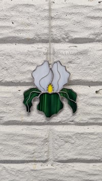 Image 2 of Iris - Green and White