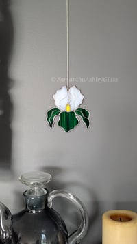 Image 1 of Iris - Green and White