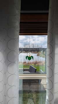 Image 3 of Iris - Green and White