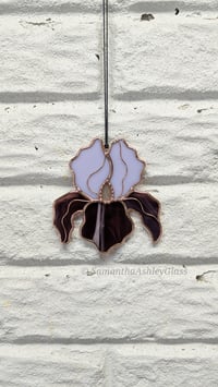 Image 3 of Iris - Purple and Copper