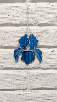 Image 2 of Iris - Blue