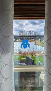 Image 3 of Iris - Blue