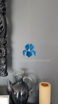 Image 1 of Iris - Blue