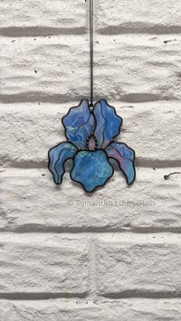 Image 2 of Iris - Iridescent Blue