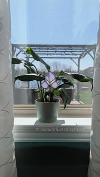 Image 1 of Art Nouveau Plantstake - Neolavender 