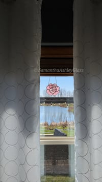 Image 3 of Rose - Pink