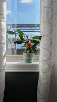 Image 1 of Art Nouveau Plantstake - Orange