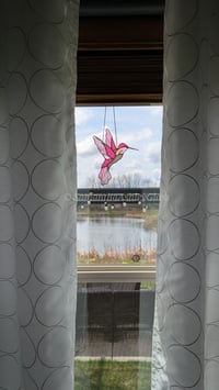 Image 5 of Hummingbird - Pink and Copper