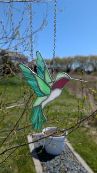 Image 2 of Hummingbird with Pink Throat 