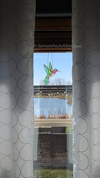 Image 4 of Hummingbird with Pink Throat 
