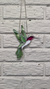 Image 5 of Hummingbird with Pink Throat 