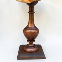 Image 10 of Ancien coquillage Casque rouge conque sur socle en bois tourné fin XIXe -  Cabinet de curiosités