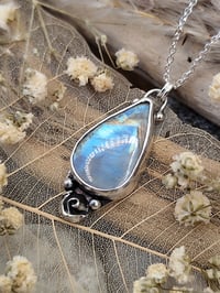 Image 3 of Rainbow Moonstone & Rose