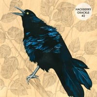Image 5 of Grackle Prints by Carly Weaver - Fine Art Print on Wood
