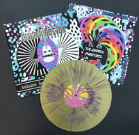 Image 1 of ASSASSINATION "Autum Brown Is The New Black" LP